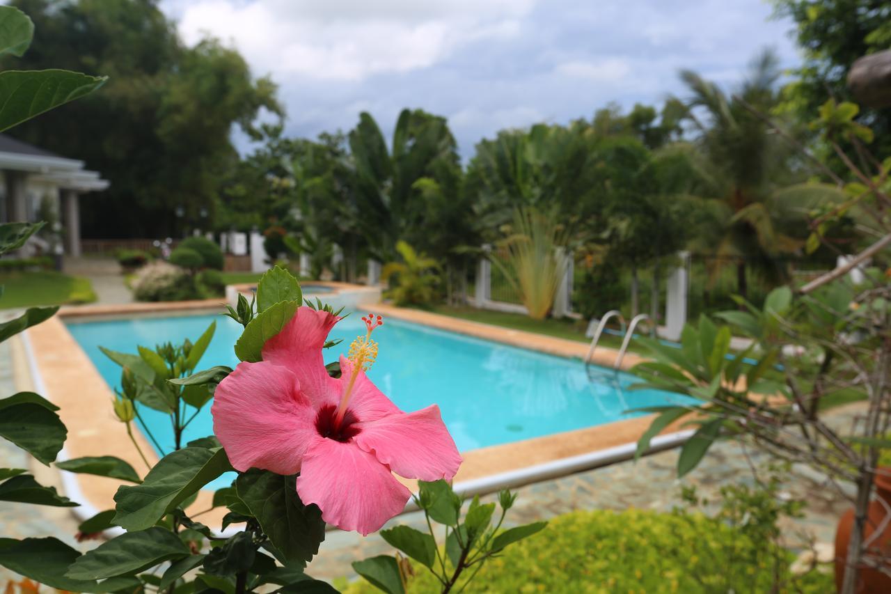 Garden Bungalows Resort Siquijor Exterior foto